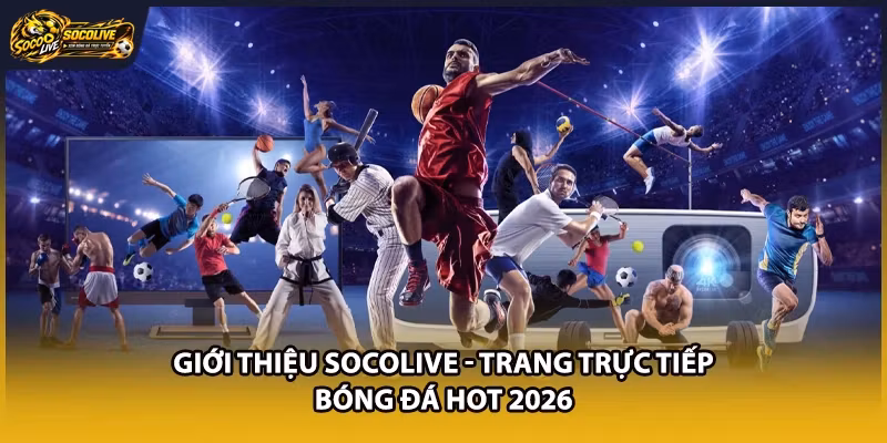 Giới Thiệu Socolive - Trang Trực Tiếp Bóng Đá Hot 2026