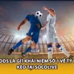 Odds Là Gì? Khái Niệm Số 1 Về Tỷ Lệ Kèo Tại Socolive