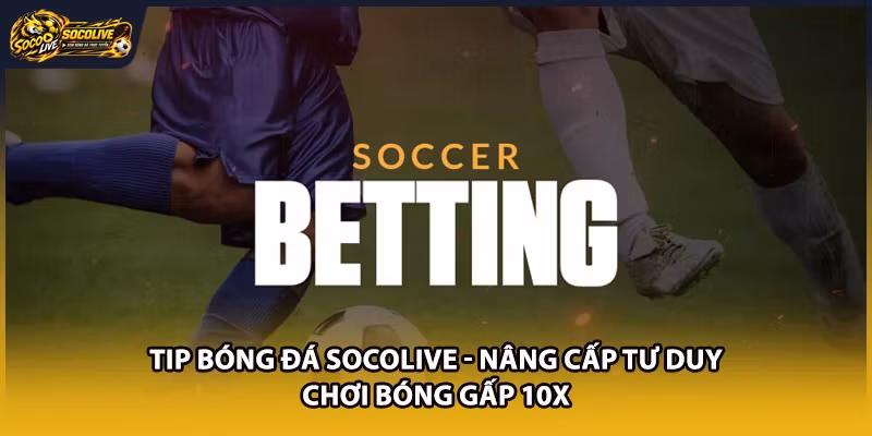 Tip Bóng Đá Socolive - Nâng Cấp Tư Duy Chơi Bóng Gấp 10x